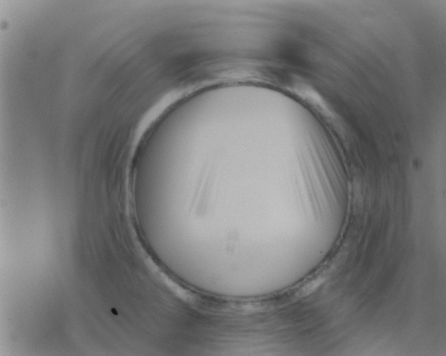 X0000075831286200610061812