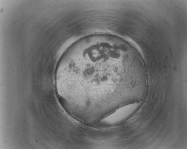 X0000075831287200610061812