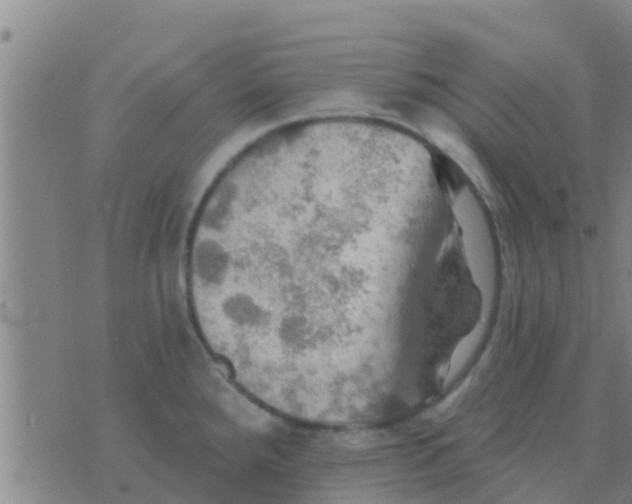 X0000075831288200610061812