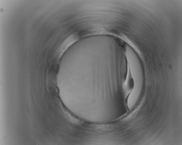 X0000075831289200610061812