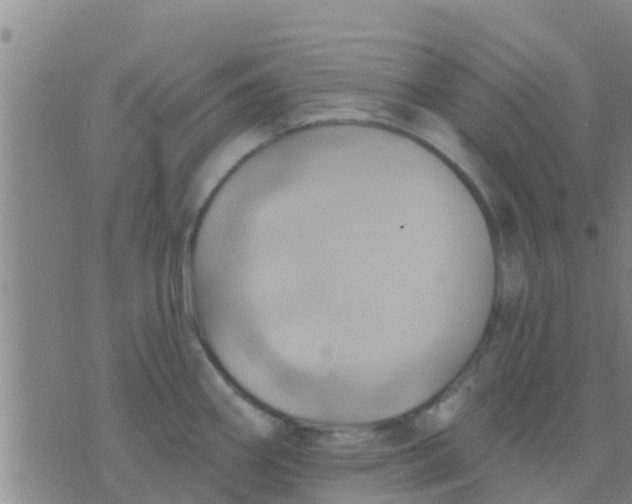 X0000075831290200610061812