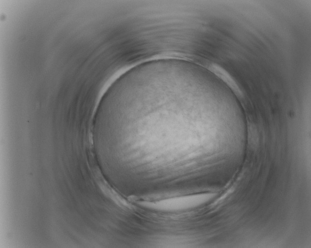 X0000075831292200610061812