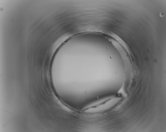 X0000075831293200610061812