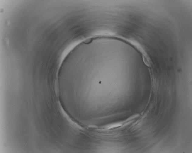 X0000075831295200610061812