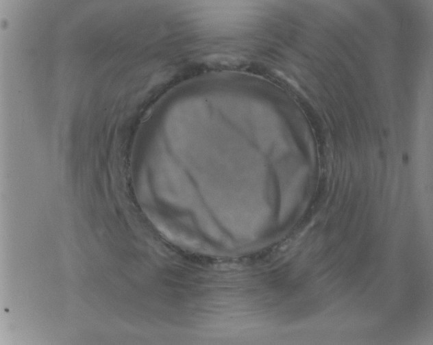 X0000075831297200610061812