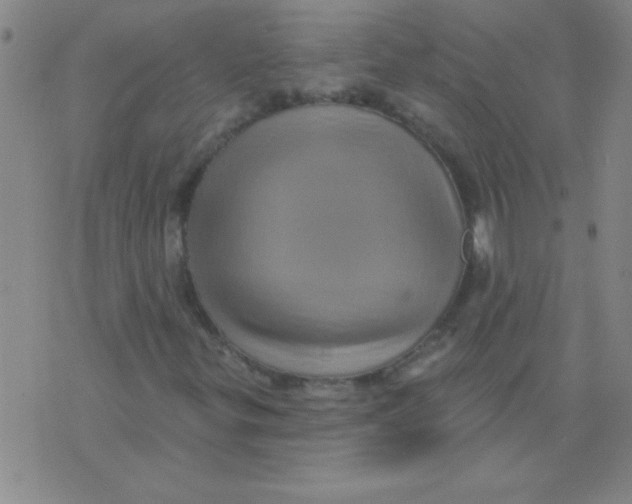 X0000075831299200610061812