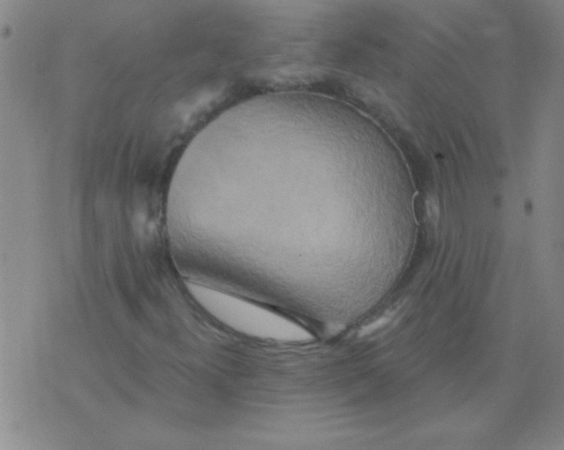 X0000075831300200610061812