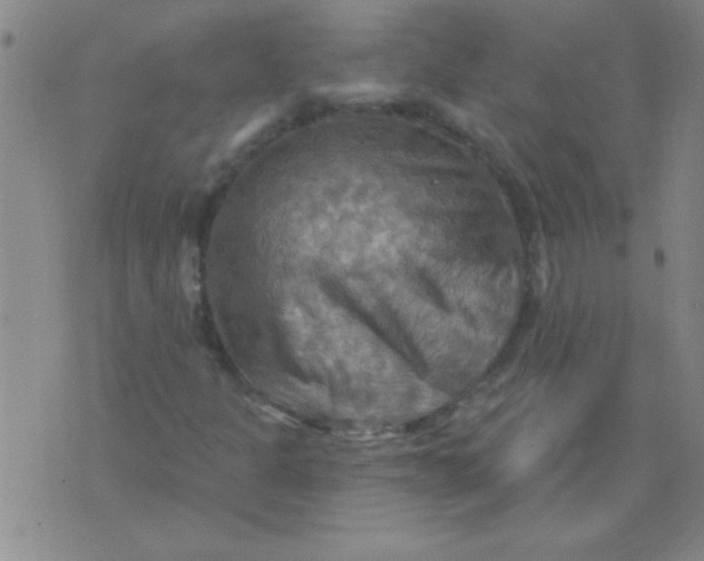 X0000075831301200610061812