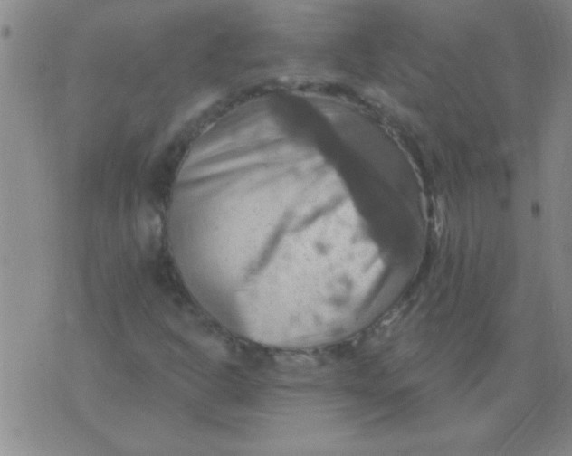 X0000075831302200610061812