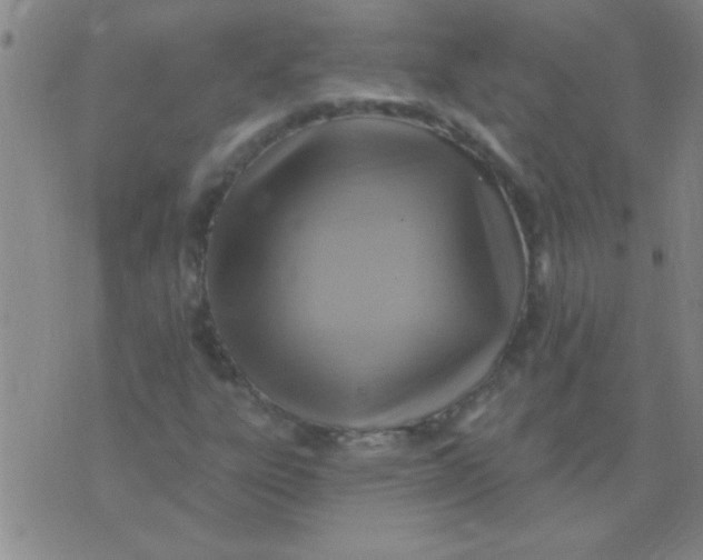 X0000075831303200610061812