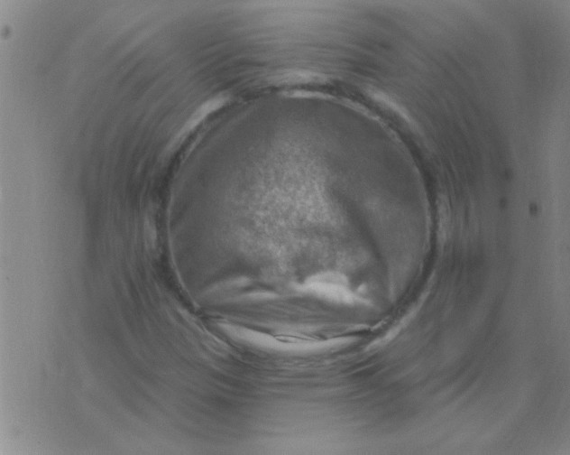 X0000075831305200610061812