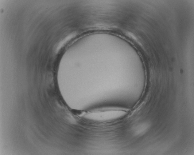 X0000075831307200610061812