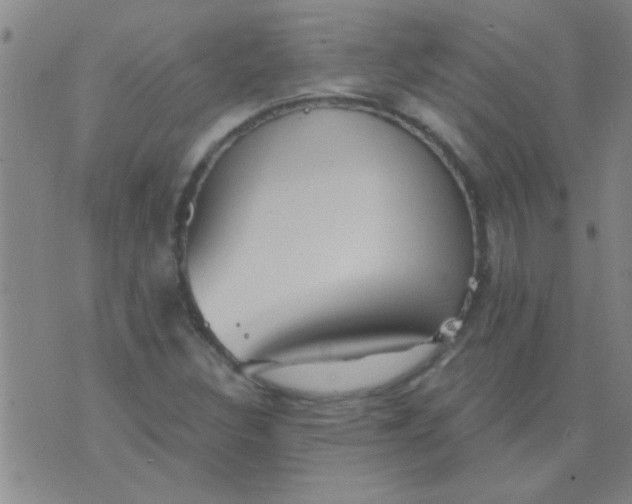 X0000075831308200610061812