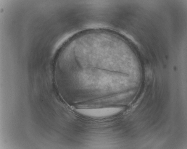 X0000075831311200610061812