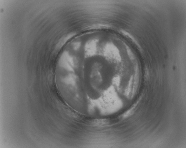 X0000075831313200610061812