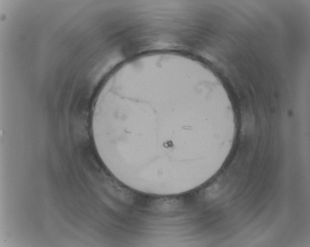 X0000075831314200610061812