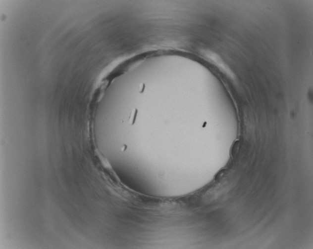 X0000075831316200610061812