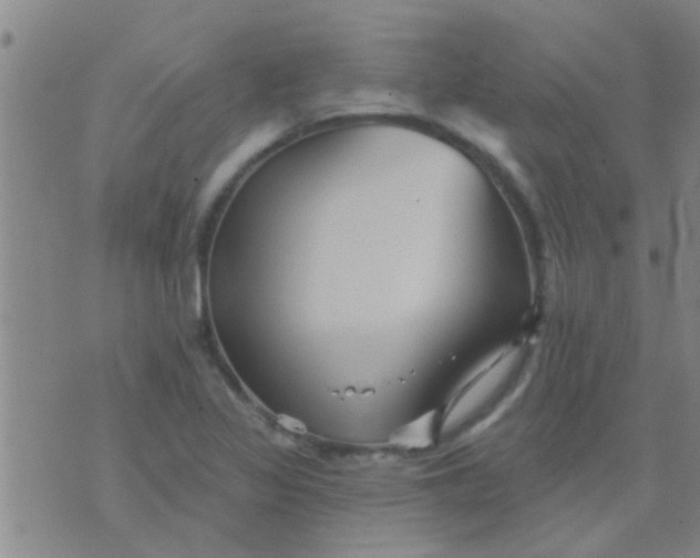 X0000075831317200610061812