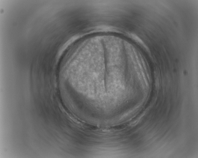 X0000075831318200610061812