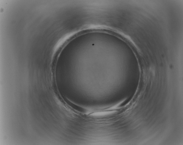 X0000075831319200610061812