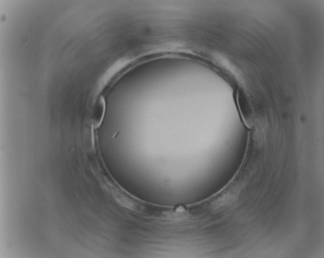 X0000075831320200610061812