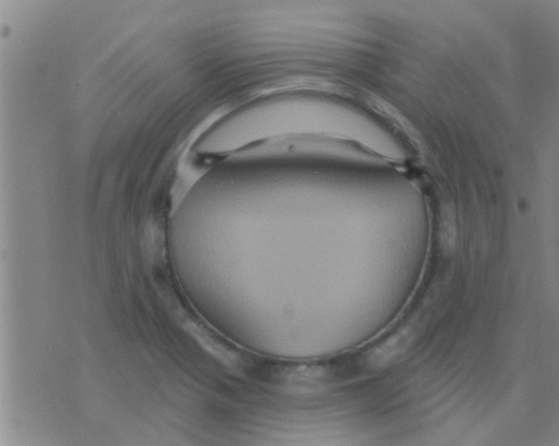 X0000075831321200610061812