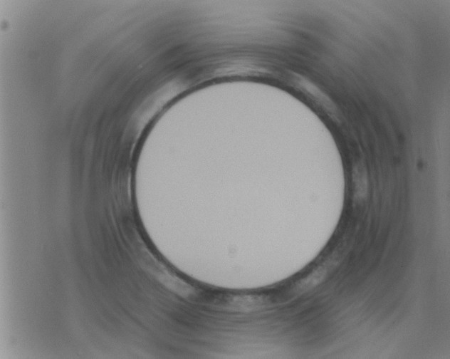 X0000075831322200610061812