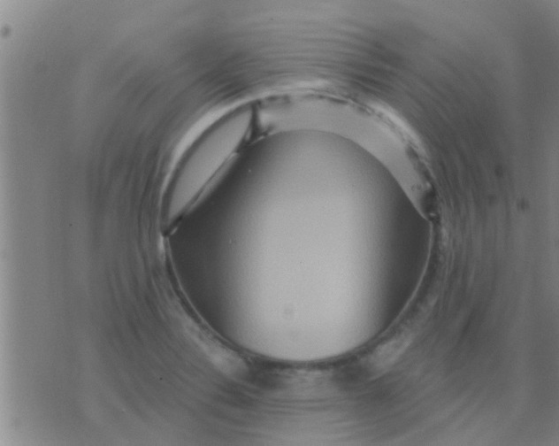 X0000075831324200610061812