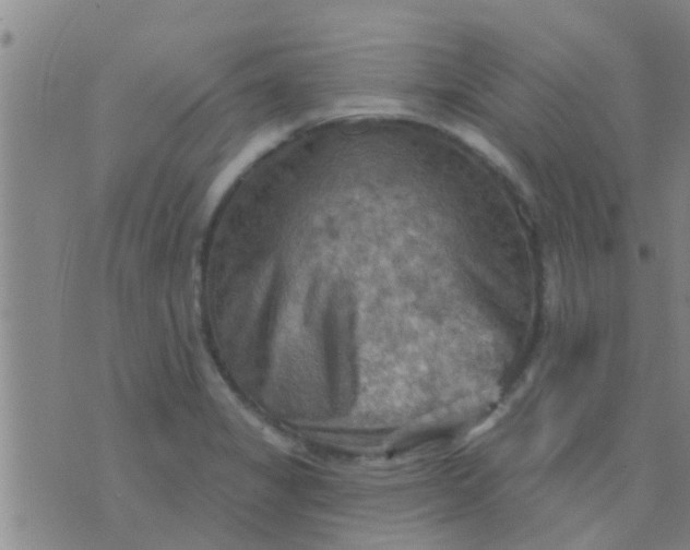 X0000075831325200610061812