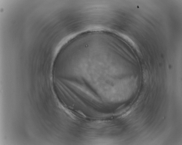 X0000075831327200610061812