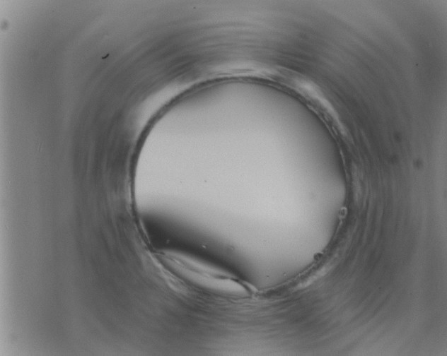 X0000075831328200610061812