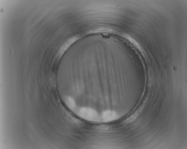 X0000075831329200610061812