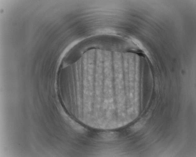 X0000075831331200610061812