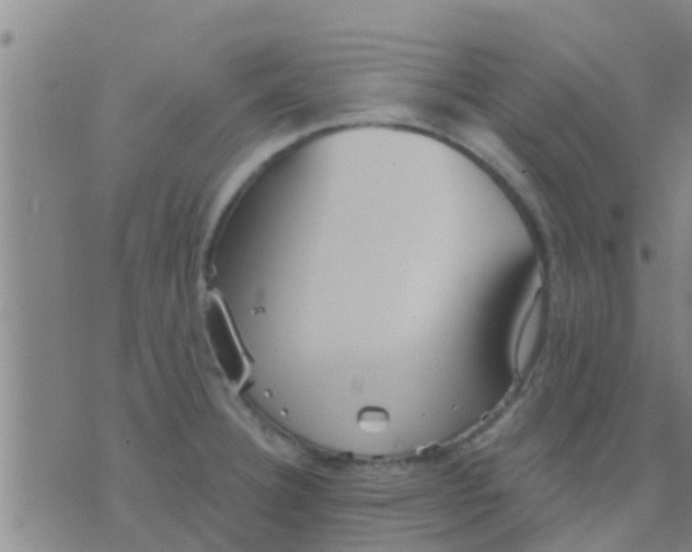 X0000075831332200610061812