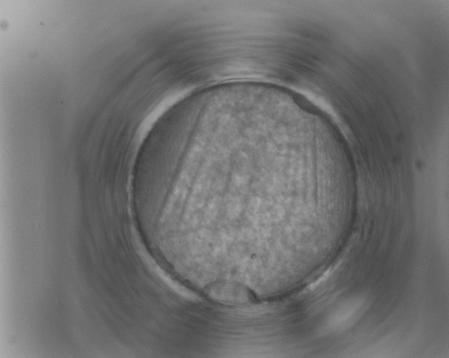 X0000075831333200610061812