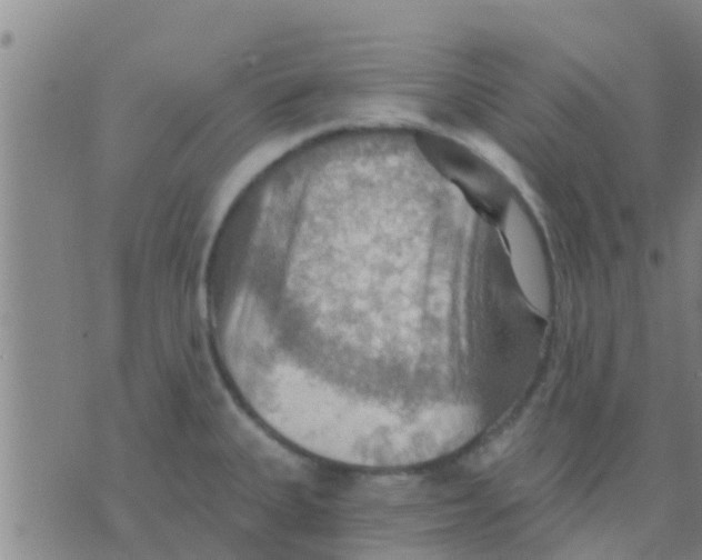 X0000075831335200610061812