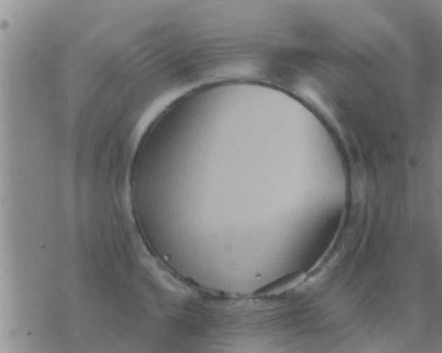 X0000075831336200610061812