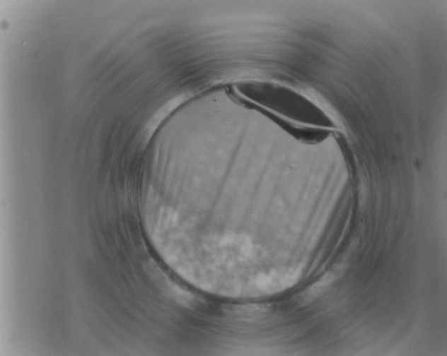 X0000075831337200610061812