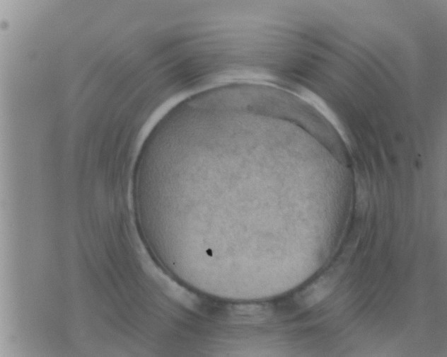 X0000075831339200610061812