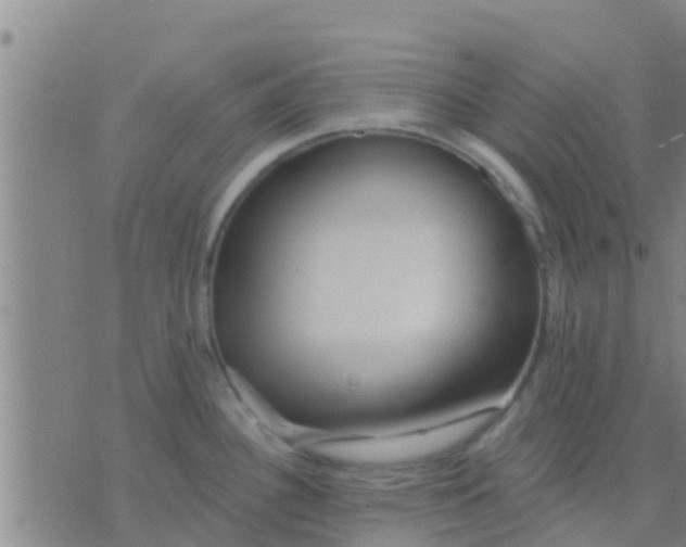 X0000075831340200610061812