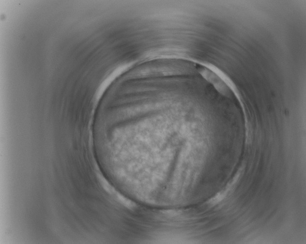 X0000075831341200610061812