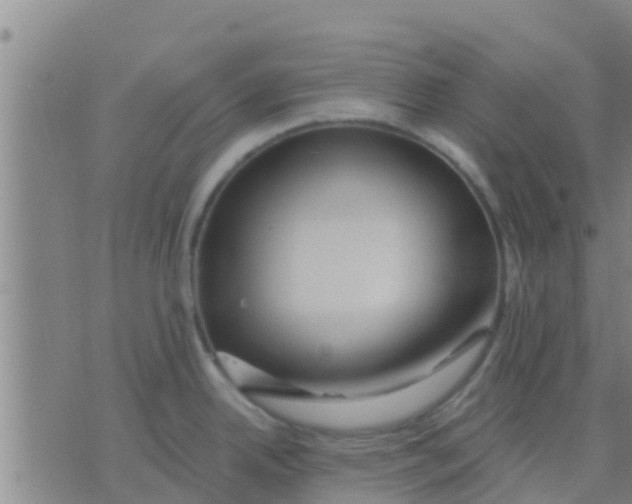 X0000075831342200610061812