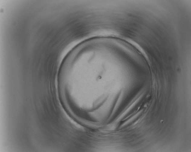 X0000075831343200610061812