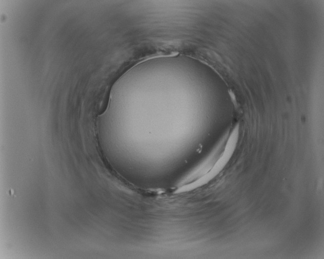 X0000075831345200610061812