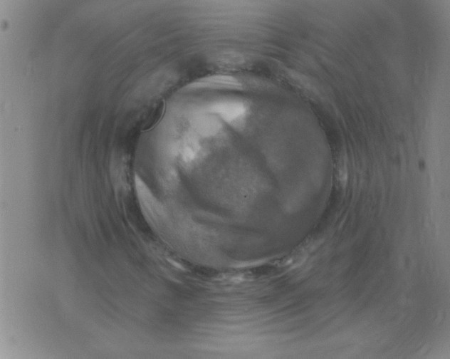 X0000075831346200610061811