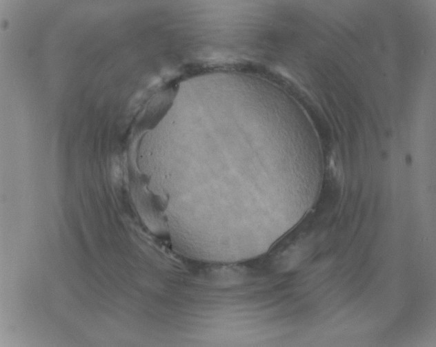 X0000075831348200610061811