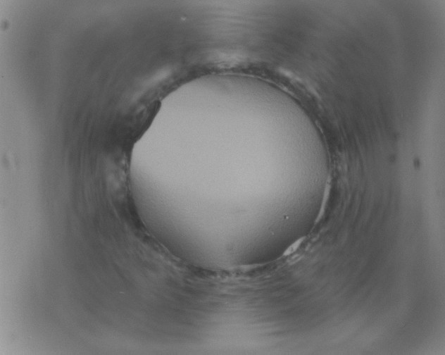 X0000075831349200610061811