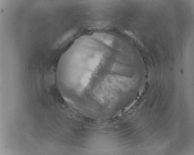 X0000075831350200610061811