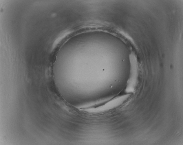 X0000075831352200610061811