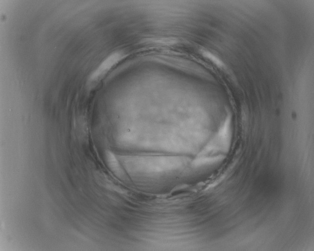 X0000075831354200610061811